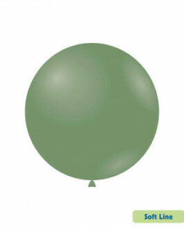 Pall. Soft Line Pastello 18″ – 46cm Verde Eucalipto 142 20pz